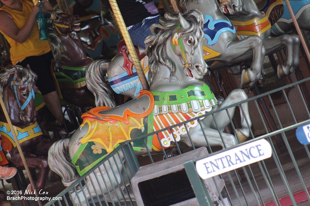 Carousel horses.