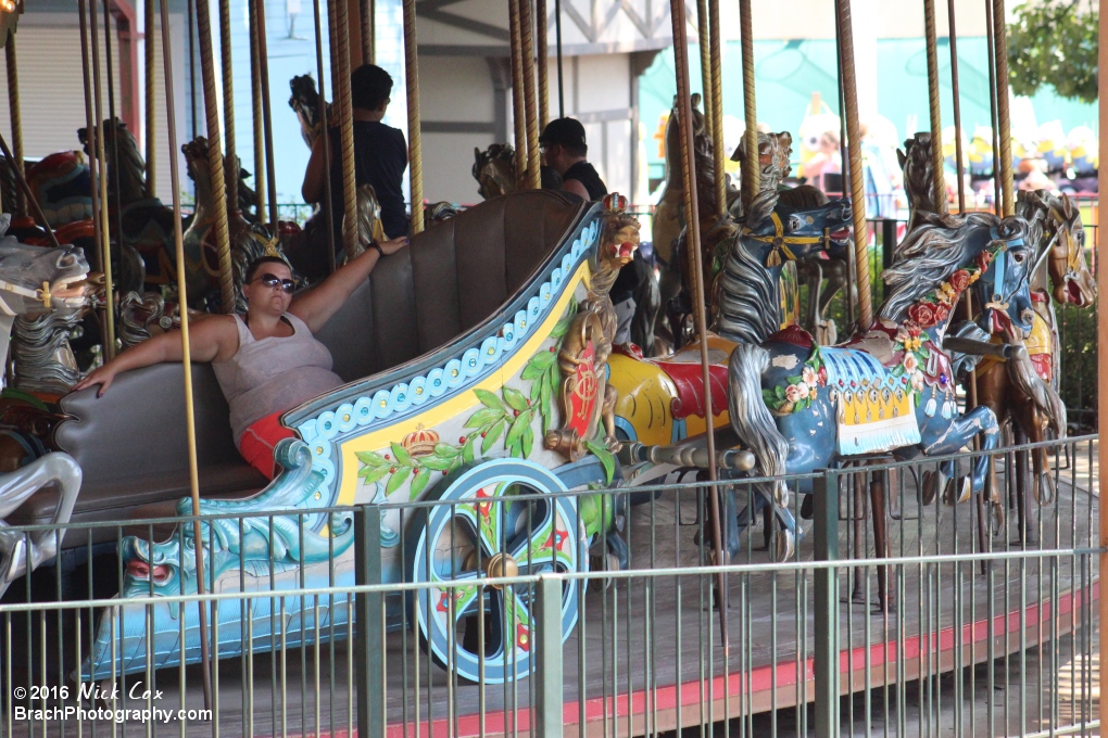 Carousel horses.