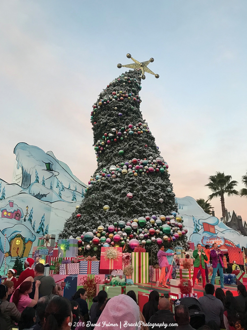 Crooked Christmas Tree seen inside the Super Silly Fun Land area of the park.