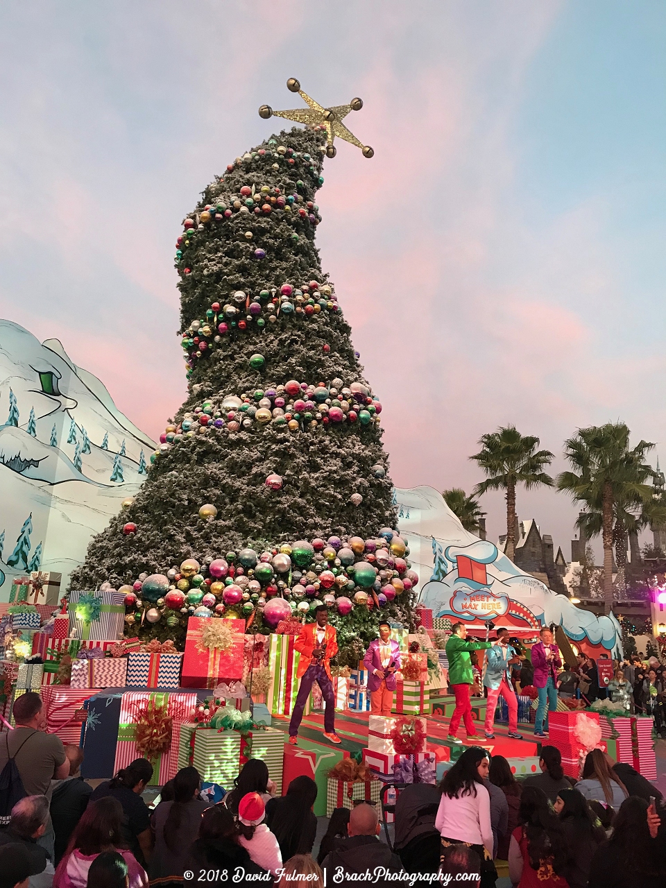 Time for a show at the Crooked Christmas Tree!