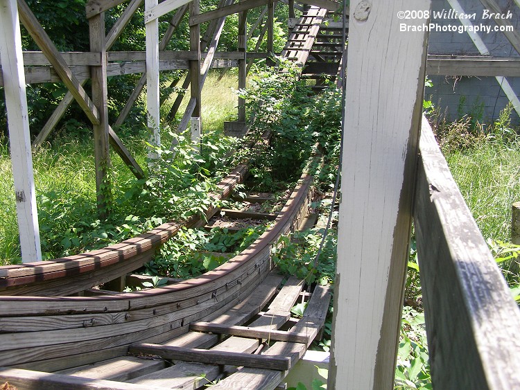 Overgrown bush in the track.