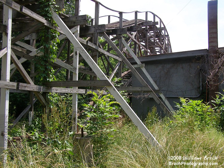 Overgrown weeds covering the coaster.