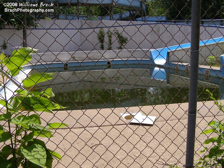 Pool is filled with nothing but algae.